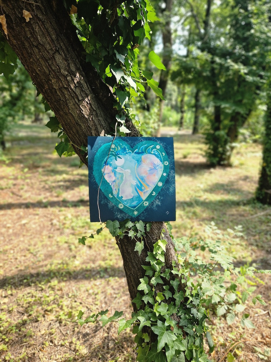 A Hare's Dream [Transformation journey]